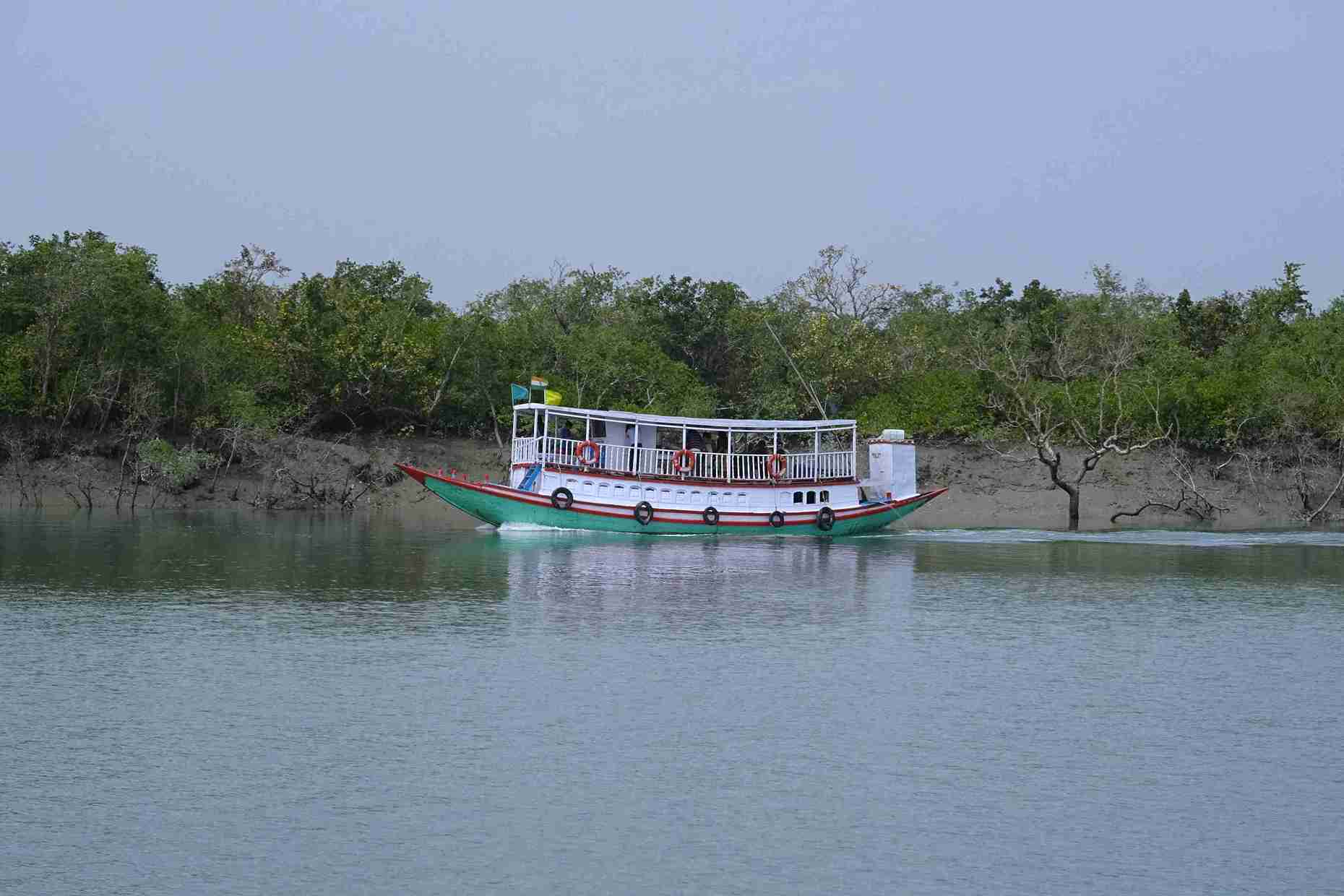 Sundarban Mangrove Trails